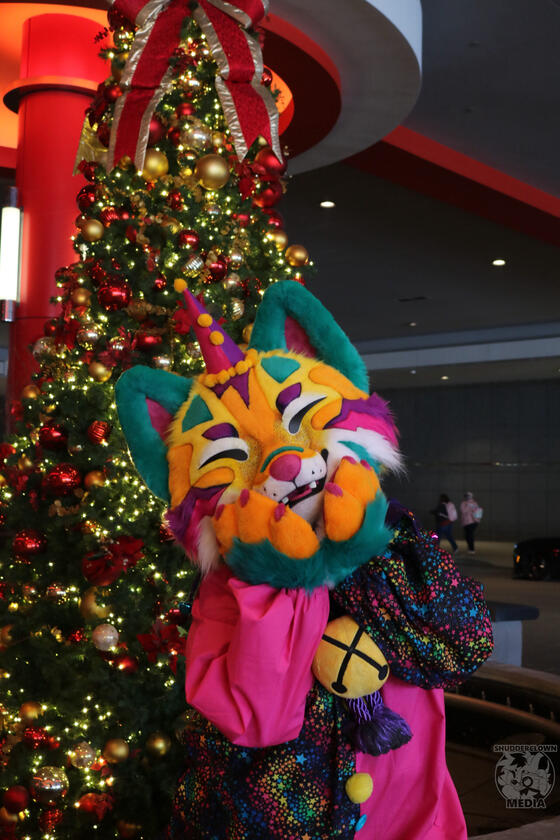 Kari MFF 2025