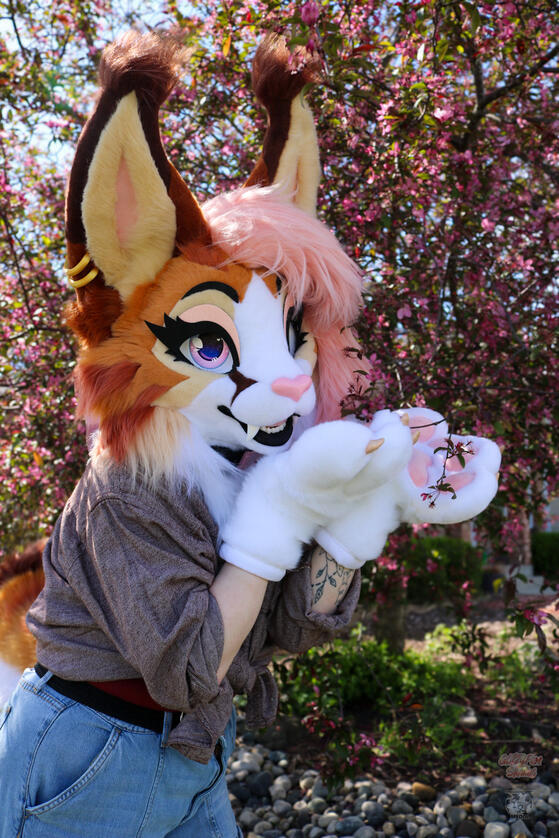 Eve The Lynx premade photoshoot 2026
